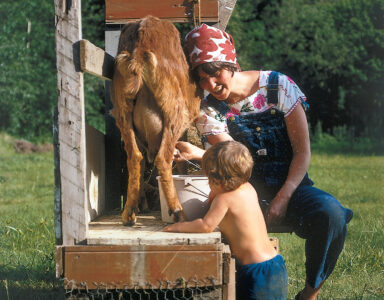 Raising Dairy Goats and the Benefits of Goat Milk Image